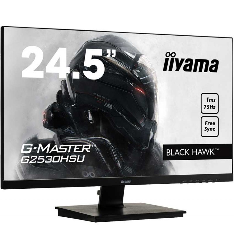 Ecran IIYAMA G-MASTER Black Hawk 24.5" Full HD (2530HSU-B1)