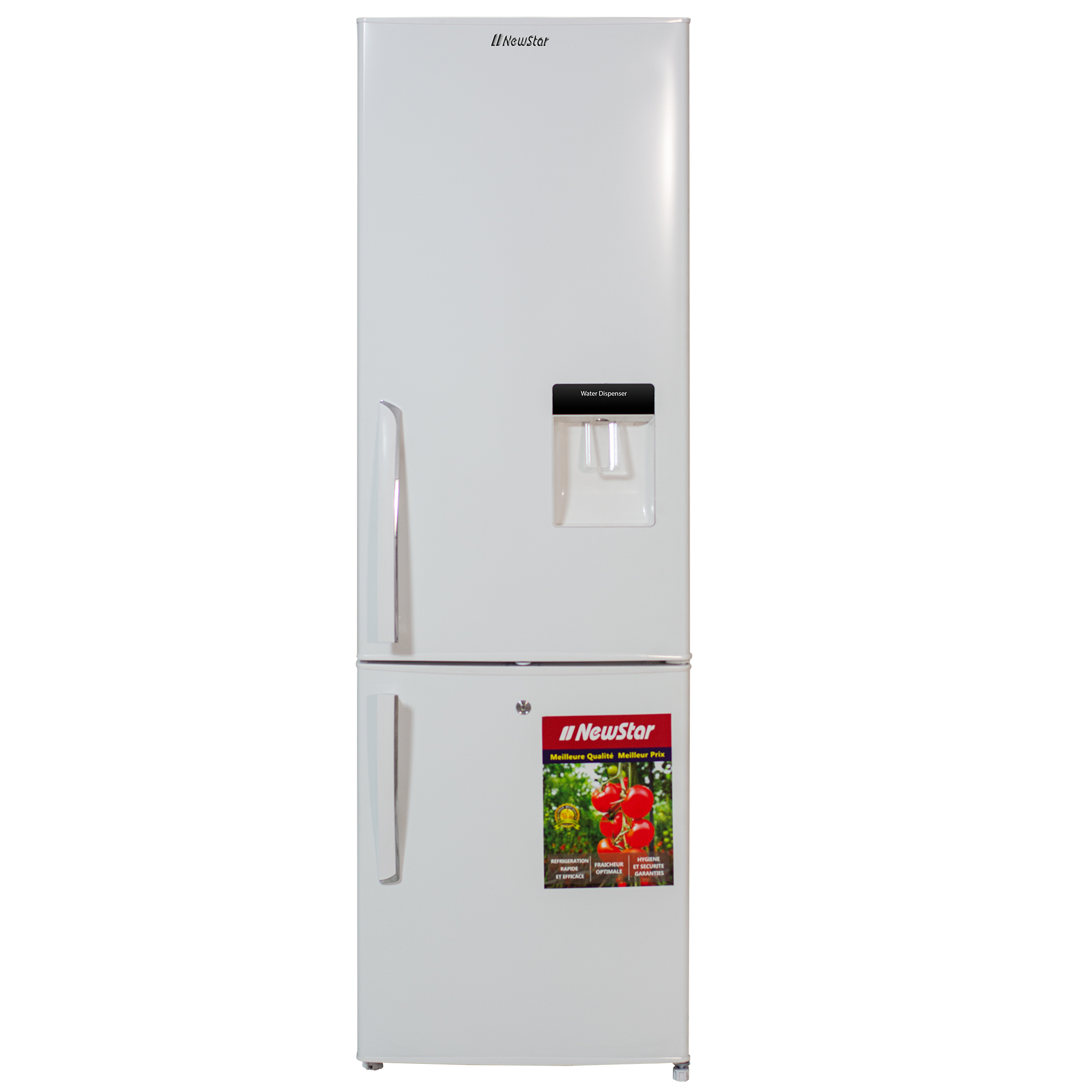 Réfrigérateur Combiné NEWSTAR Defrost 244L avec Fontaine Intégré - Silver - 3950 WDS