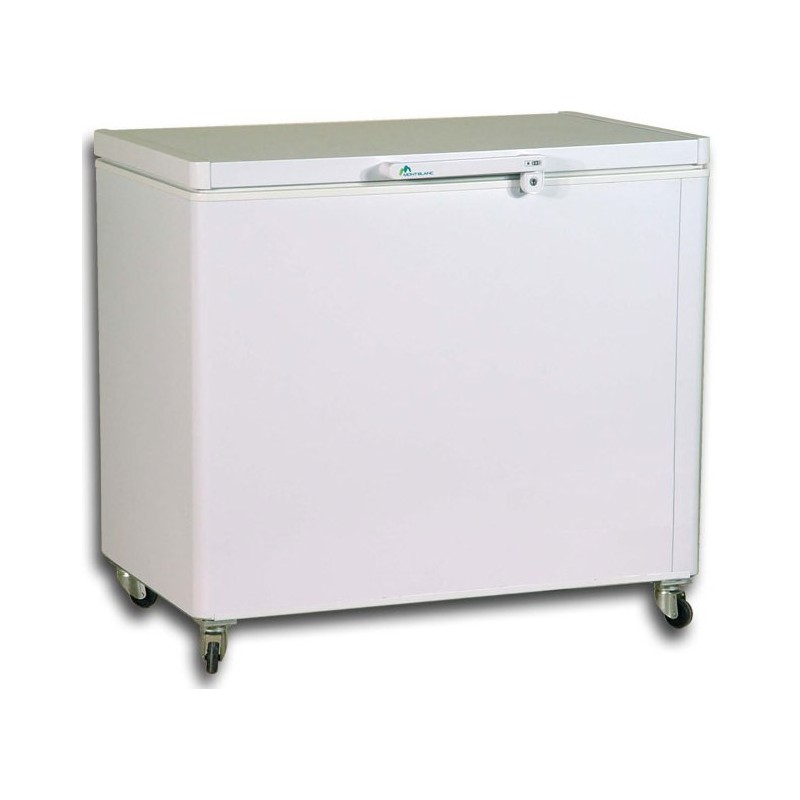 Congélateur horizontal MontBlanc 300L - ES300