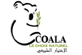 Chauffage à Gaz Naturel COALA GN 4500W Noir - Electro Chaabani vente  electromenager