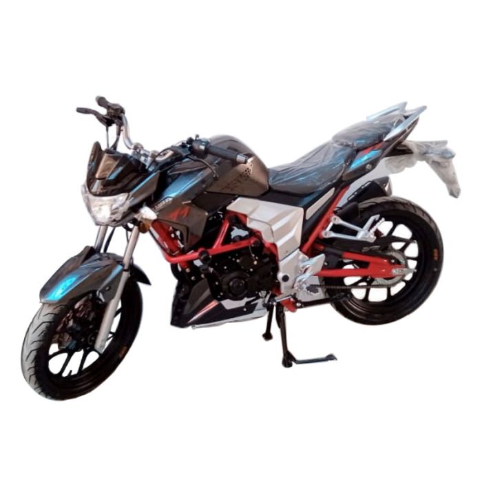 Motocycle SENKE RAPTOR SK-125CC - Gris