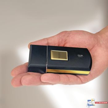 Rasoir Rechargeable WAHL Travel Shaver 07057-016 - Noir&Gold