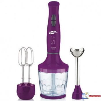Mixeur 2en1 GOLDMASTER GM-7240M - Violet