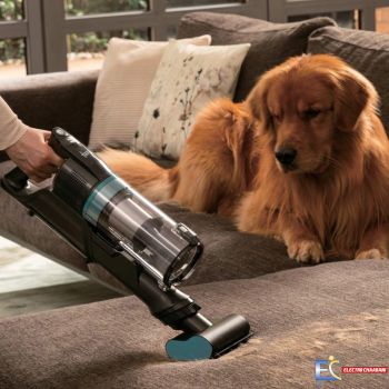 Aspirateur Balai HOOVER HF1 Plus HF1P10PX Sans Fil - Gris&vert