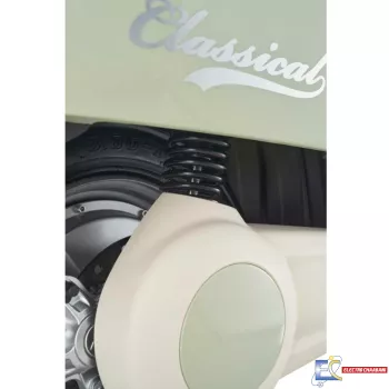 Scooter Électrique Aima Classical 800W – Vert / Beige