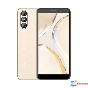 Smartphone LESIA YOUNG 6 4Go 16Go - Gold